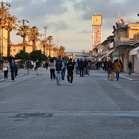 公寓 Per Le Vacanze Vicino Al Mare, In Zona Centrale! 维亚雷焦